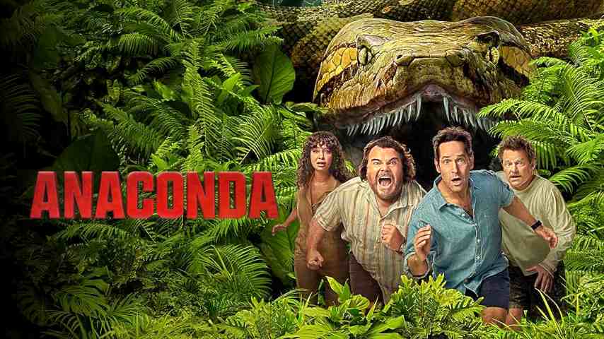 Anaconda